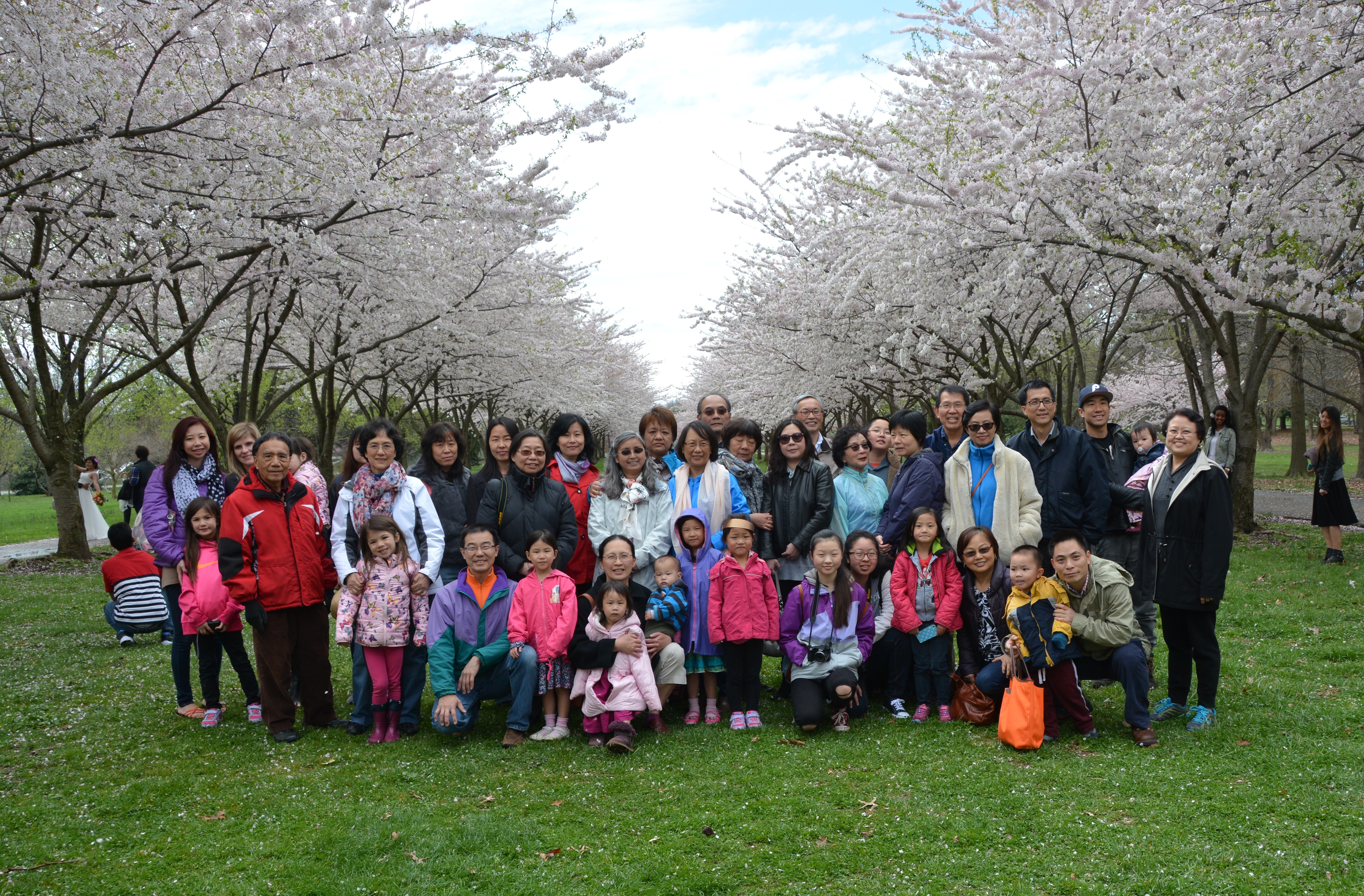 Cherry Blossom Viewing 040216-1